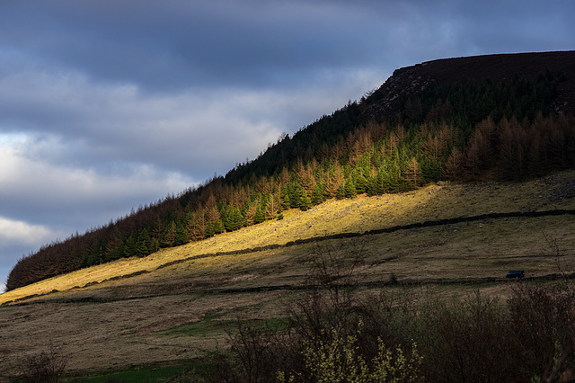 late light in Longdendale (1)