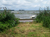 View to Käsmu Bay, Finland Gulf, Baltic Sea.