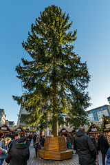 Chemnitzer Weihnachtsbaum 2017 (27 m)
