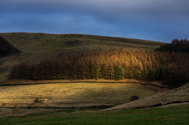 late light in Longdendale (2)