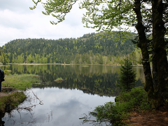 Lac de Lispach Vosges