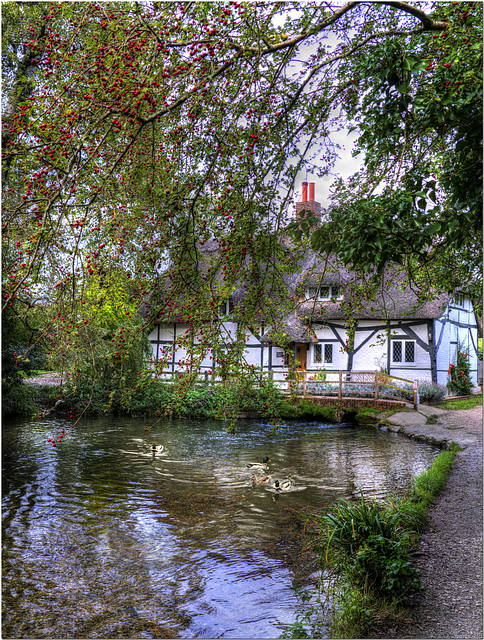 The Fulling Mill, Alresford