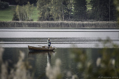 auf dem Pfäffikersee (© Buelipix)