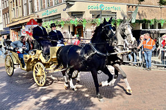 Leidens Ontzet 2024 – Horse and carriage