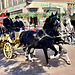 Leidens Ontzet 2024 – Horse and carriage