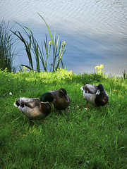 IMG 20250518 145840
