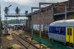 Vorbeifahrt am Sächsischen Eisenbahnmuseum