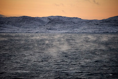 Winter Morning at the Sea