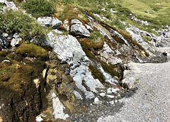 Wanderweg am See