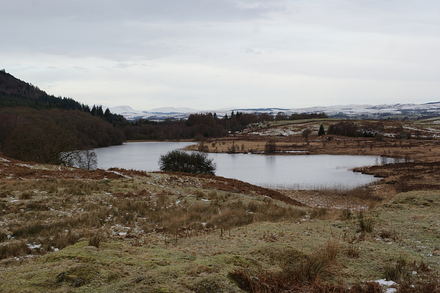 Mossdale Loch In Winter
