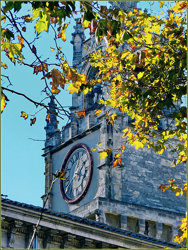 Avignon : I segni dell'autunno e il campanile dell'orologio