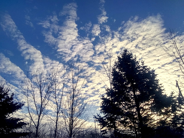 A February morning in Michigan.