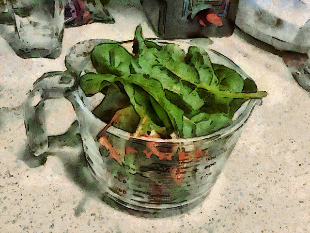 still life with swiss chard