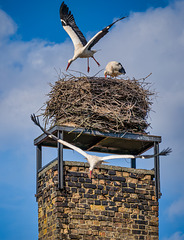 Abflug in Linum