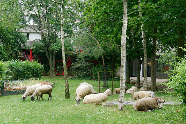 Des visiteurs inattendus près de chez moi