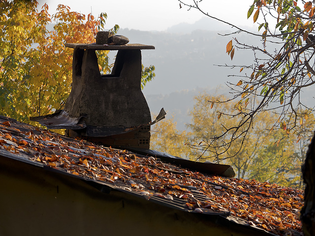 The autumn on the roof