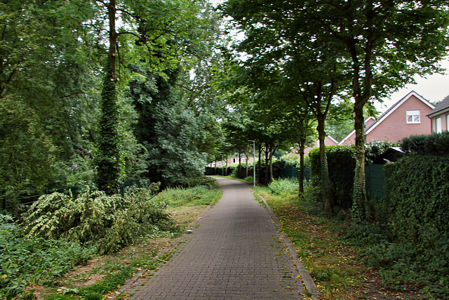 Fußgänger- und Radweg, ehemals Zechenbahn Graf Bismarck (Gelsenkirchen-Erle) / 25.07.2022