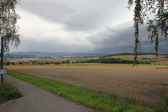 Felder bei den Eschbacher Klippen