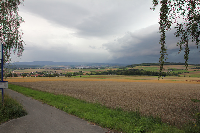 Felder bei den Eschbacher Klippen