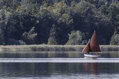 auf dem Pfäffikersee (© Buelipix)