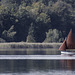 auf dem Pfäffikersee (© Buelipix)