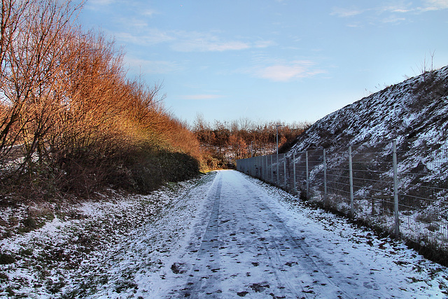 Verschneiter Weg zum Angerpark (Duisburg-Wanheim-Angerhausen) / 20.01.2024