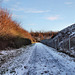 Verschneiter Weg zum Angerpark (Duisburg-Wanheim-Angerhausen) / 20.01.2024