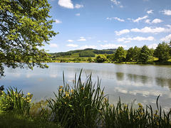 IMG 20250518 143215