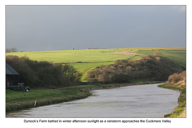 Dymock's Farm - Seaford  - Sussex - 15.1.2015