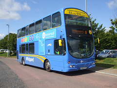 DSCF4644 Whippet Coaches WD441 (LK04 HYS) (Cambridge) - 4 Aug 2016