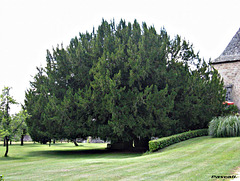 chateau d'ESTRESSES chateau d'ESTRESSES
