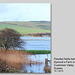Flooded fields in the Cuckmere Valley - Sussex - 15.1.2015