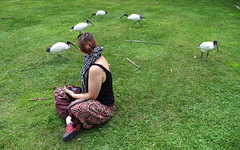 Jennifer and the ibis