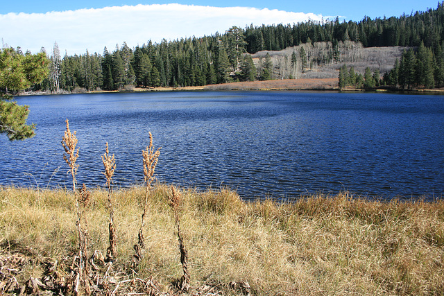 Richardson Lake