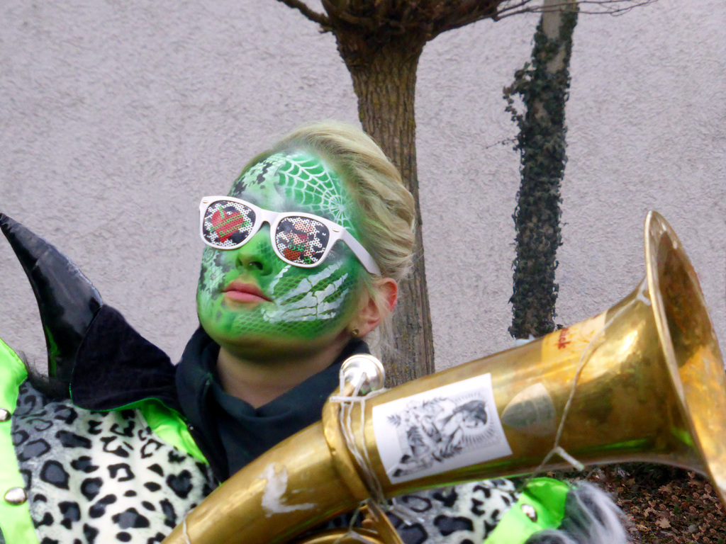 Altastadtr Faschingsomzug