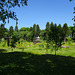 Dumfries House Gardens