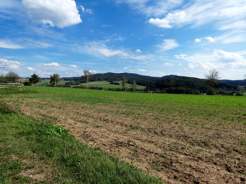 Bayer. Wald - Feld und Flur
