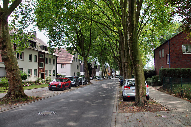 Am Fettingkotten (Gelsenkirchen-Erle) / 25.07.2022