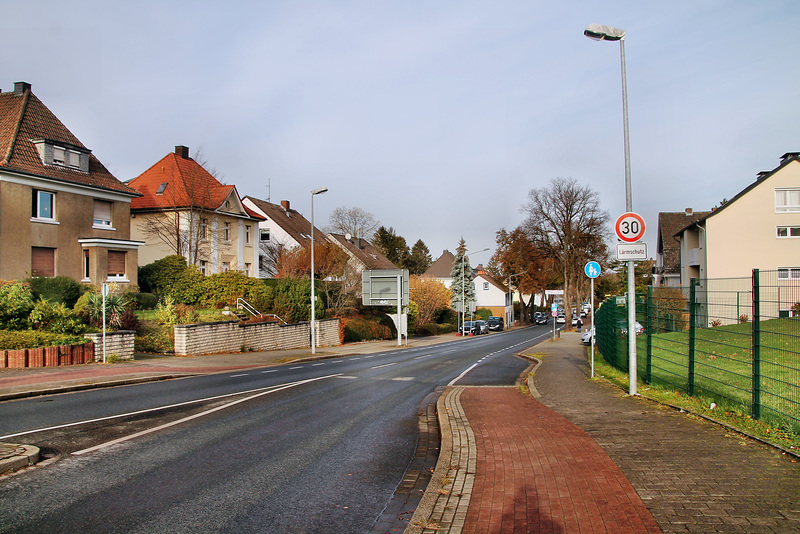 Hammer Straße (Unna) / 26.11.2022