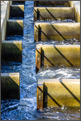 Fischtreppe an der Zschopau
