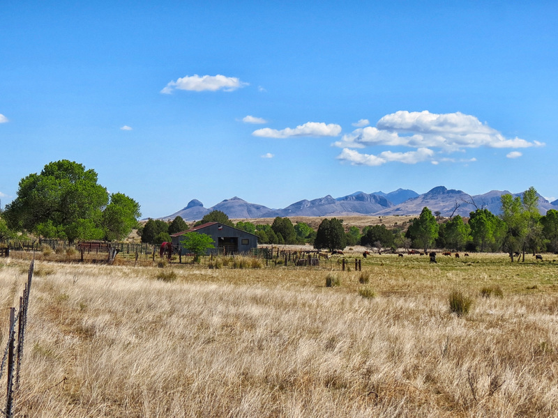 Mustang Mountains