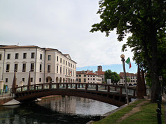 Treviso