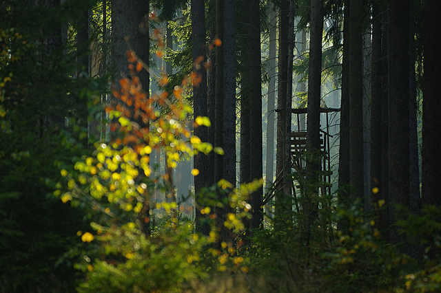 unscharfer Herbst