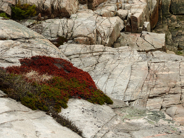 Day 9, Sentier de la Pointe-de-l'Islet Trail, Tadoussac
