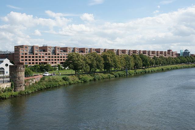 East Bank Of The Maas