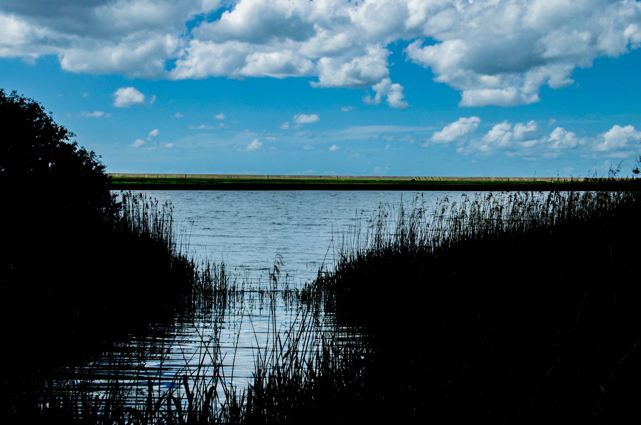 Stille