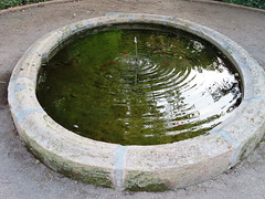 Valencia: Jardín botánico, 21