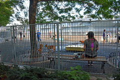 Die Bank am Hunde-Auslauf-Platz Die Bank am Hunde-Auslauf-Platz