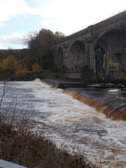 wst[25] - watching for fish {1 of 4}