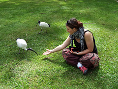 Jennifer and the ibis